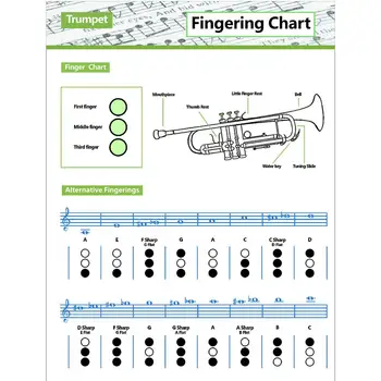 Таблица аккордов для трубы YOUZI Плакат с прогрессией обычных аккордов Обучающая таблица аппликатуры аккордов Музыкальное настенное искусство для учителей и студентов