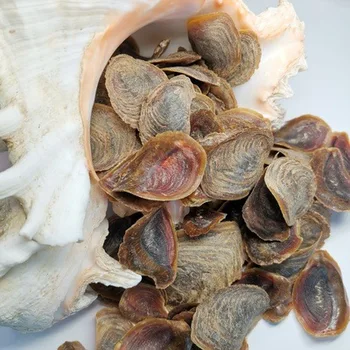 продается 10 г продукта для благовоний из натуральной высушенной морской раковины Murex Snail Seashell